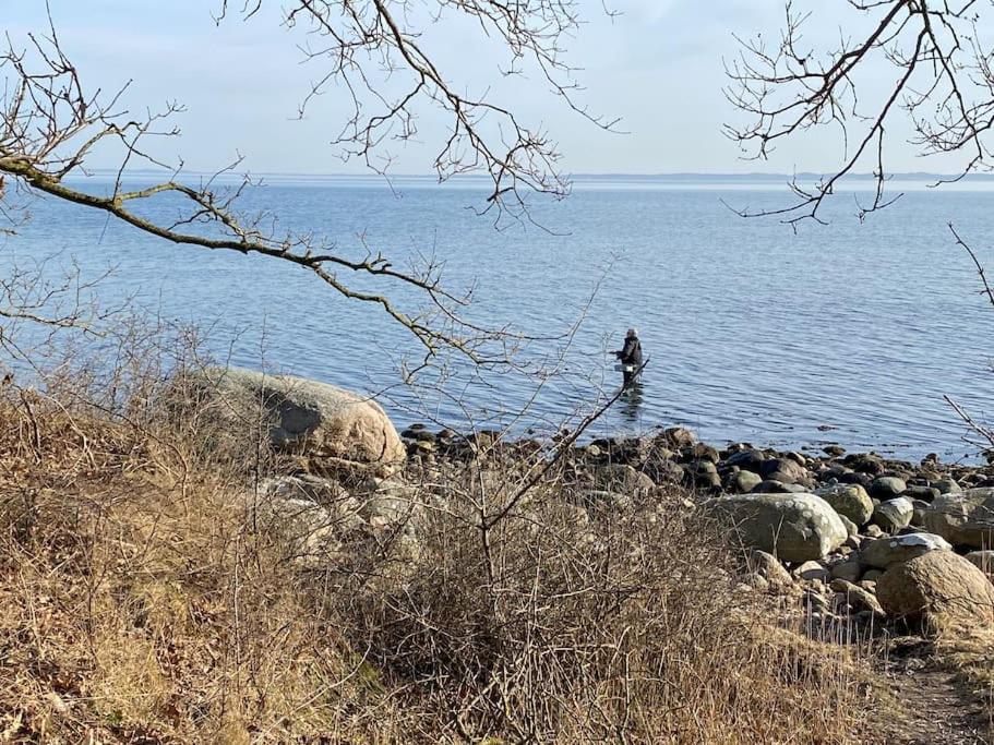 Eskaerhus Pa Tasinge, Taet Pa Svendborg - Afdeling Med Egen Indgang Daire Troense Dış mekan fotoğraf